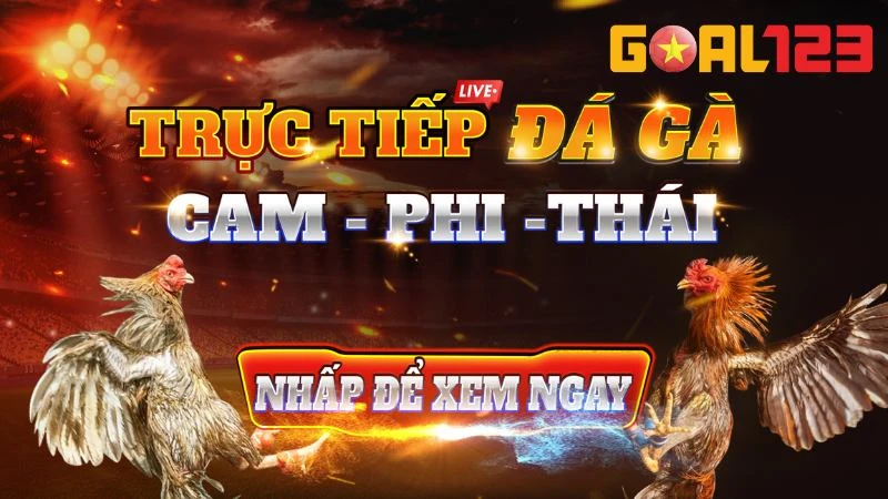 Các hình thức đấu gà hấp dẫn bậc nhất hiện nay