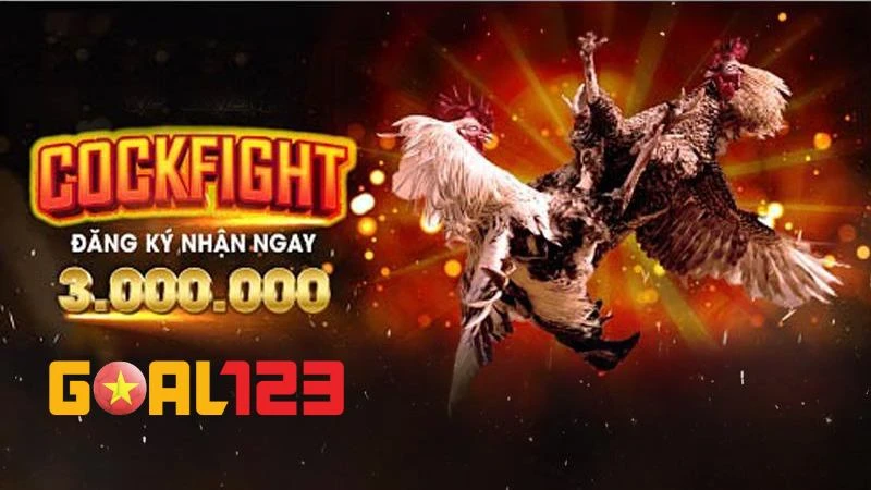 Danh mục đấu gà tổ chức nhiều trận đấu gay cấn với đa dạng hình thức