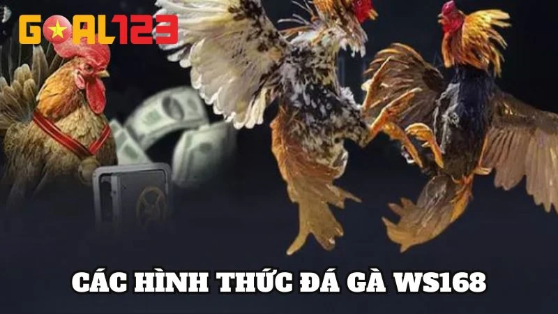 Đá Gà WS168 | Sàn Đấu Gà Dũng Mãnh Nhất Tại Goal123 4 Tổng hợp các hình thức đá gà phổ biến tại WS168