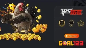 Sảnh Đá gà WS168 sôi động, hấp dẫn