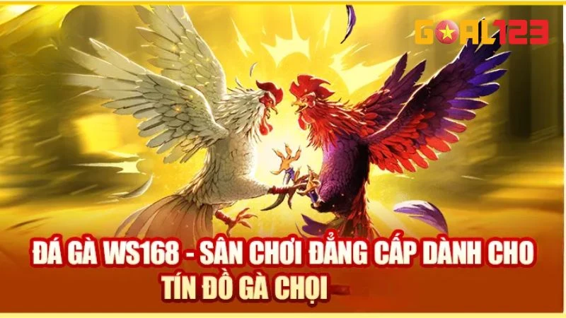 Đá Gà WS168 | Sàn Đấu Gà Dũng Mãnh Nhất Tại Goal123 2 Giới thiệu thông tin cơ bản về sàn đấu gà WS168