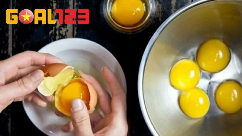 Bí Kíp Nuôi Gà Chọi 10 Ngày Trước Khi Ra Độ Chuẩn Sư Kê 4 Đừng quên bổ sung thêm lòng đỏ trứng gà vào khẩu phần ăn gà trong ngày thứ 7 và 8